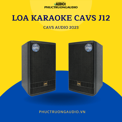 Loa Karaoke CAVS J12