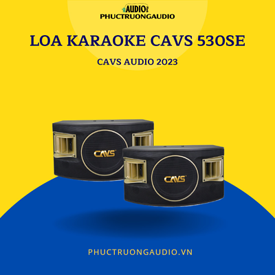 Loa Karaoke CAVS 530SE
