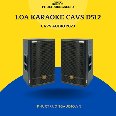 Loa Karaoke CAVS D512