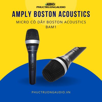 Micro dây Karaoke Boston Acoustics BAM1
