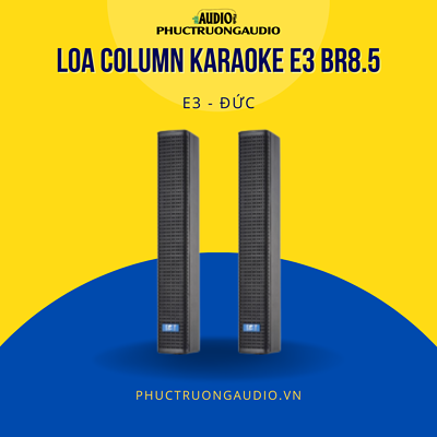 Loa Column Karaoke E3 BR8.5