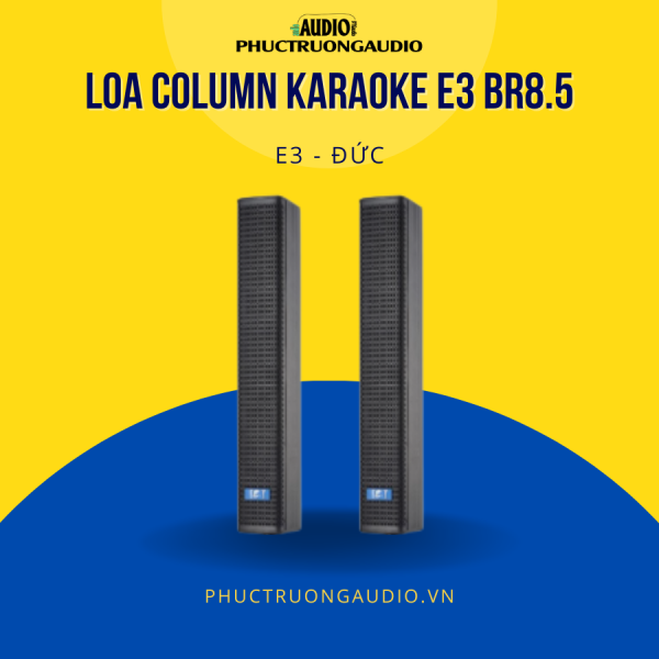 Loa Column Karaoke E3 BR8.5