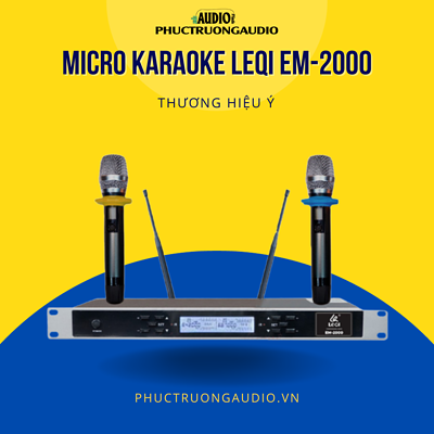 Micro không dây Karaoke LEQI EM-2000