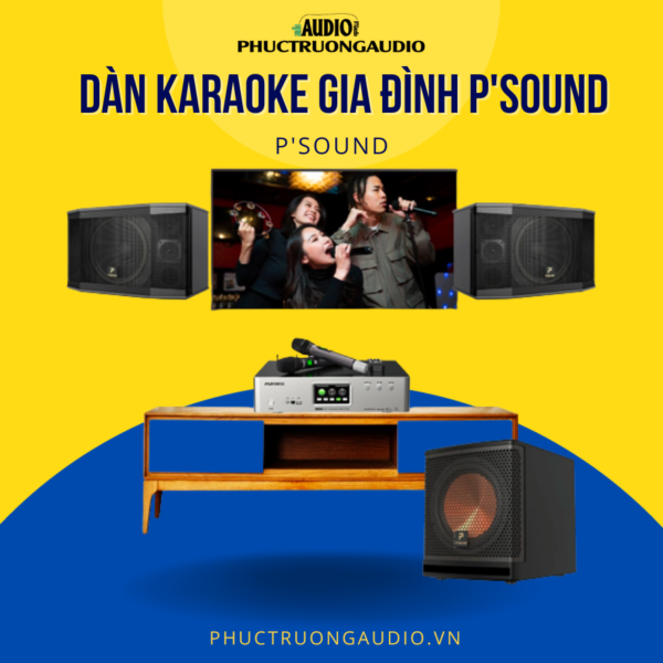 Dàn karaoke gia đình P'Sound PTG AUDIO