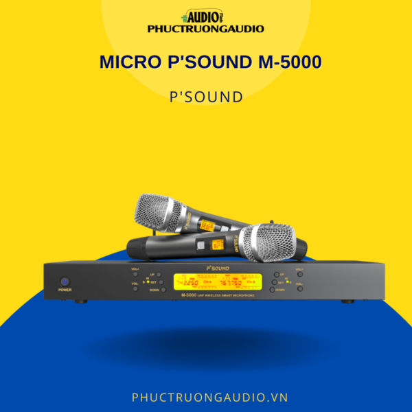 Micro P'Sound M-5000