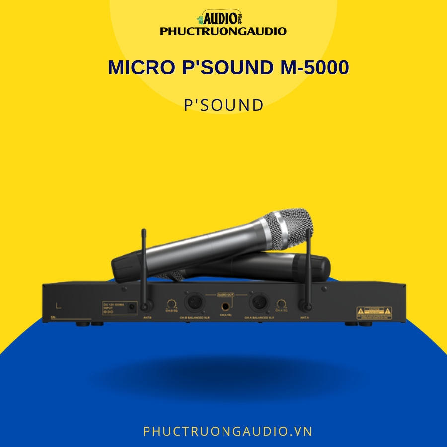 Micro P'Sound M-5000