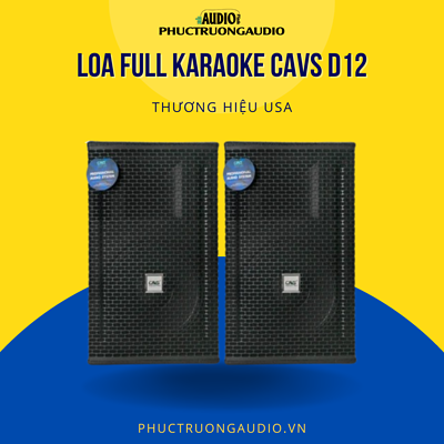 Loa Karaoke CAVS D12