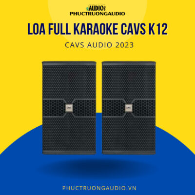 Loa Karaoke CAVS K12