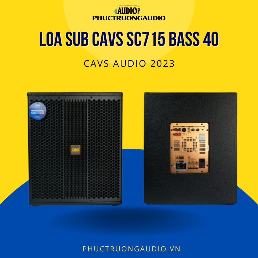 Loa Sub Karaoke CAVS SC715