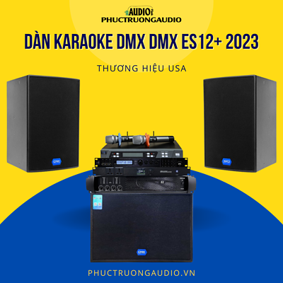 Dàn Karaoke DMX ES12+ 03
