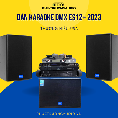 Dan Karaoke DMX ES12123