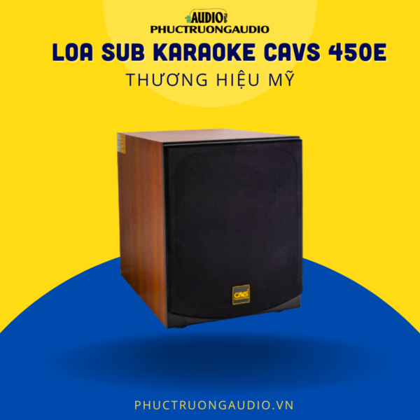Loa SUB Karaoke CAVS 450E