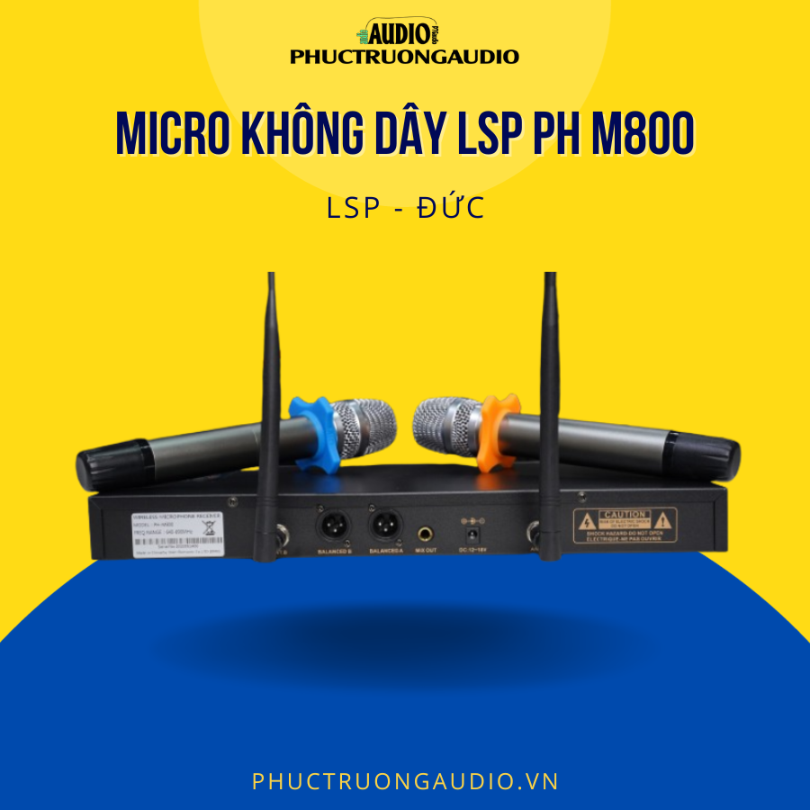 Micro không dây LSP PH M800